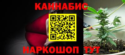 spice Севастополь