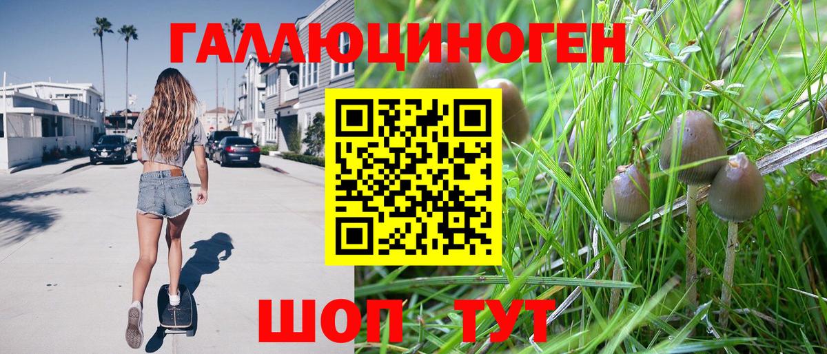 Галлюциногенные грибы ЛСД  Вход с VPN  Тулун 